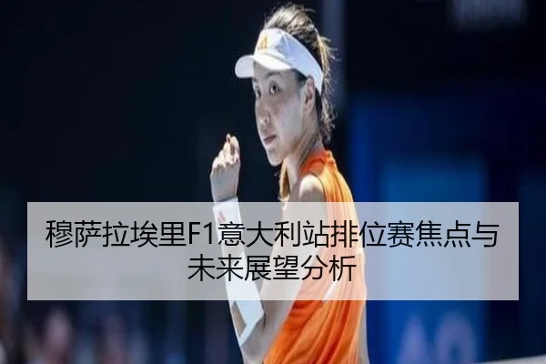 mu-sa-la-ai-li-yi-da-li-zhan-pai-wei-sai-jiao-dian-yu-wei-lai-zhan-wang-fen-xi-2-851.jpg