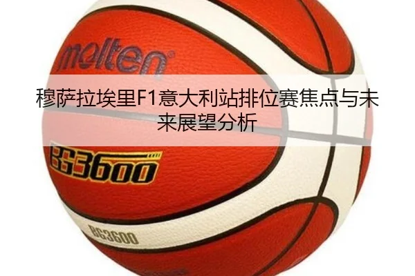 穆萨拉埃里F1意大利站排位赛焦点与未来展望分析