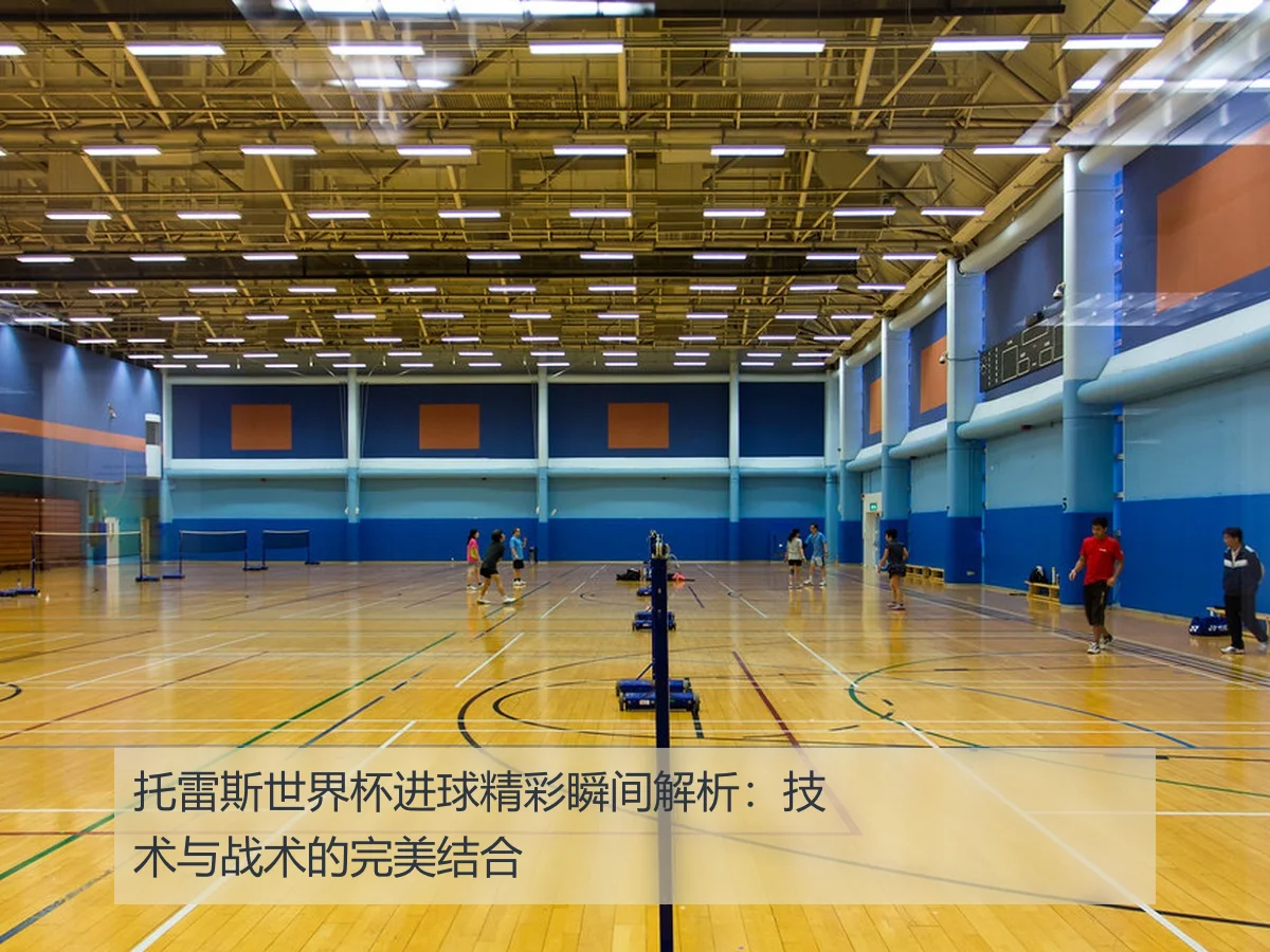 托雷斯世界杯进球精彩瞬间解析:技术与战术的完美结合